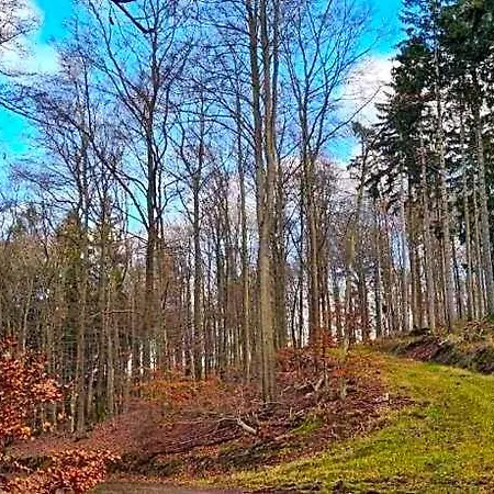 ホテル Romantische Auszeit Im Altmuhltal