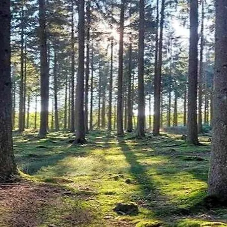 ホテル Romantische Auszeit Im Altmuhltal 3*